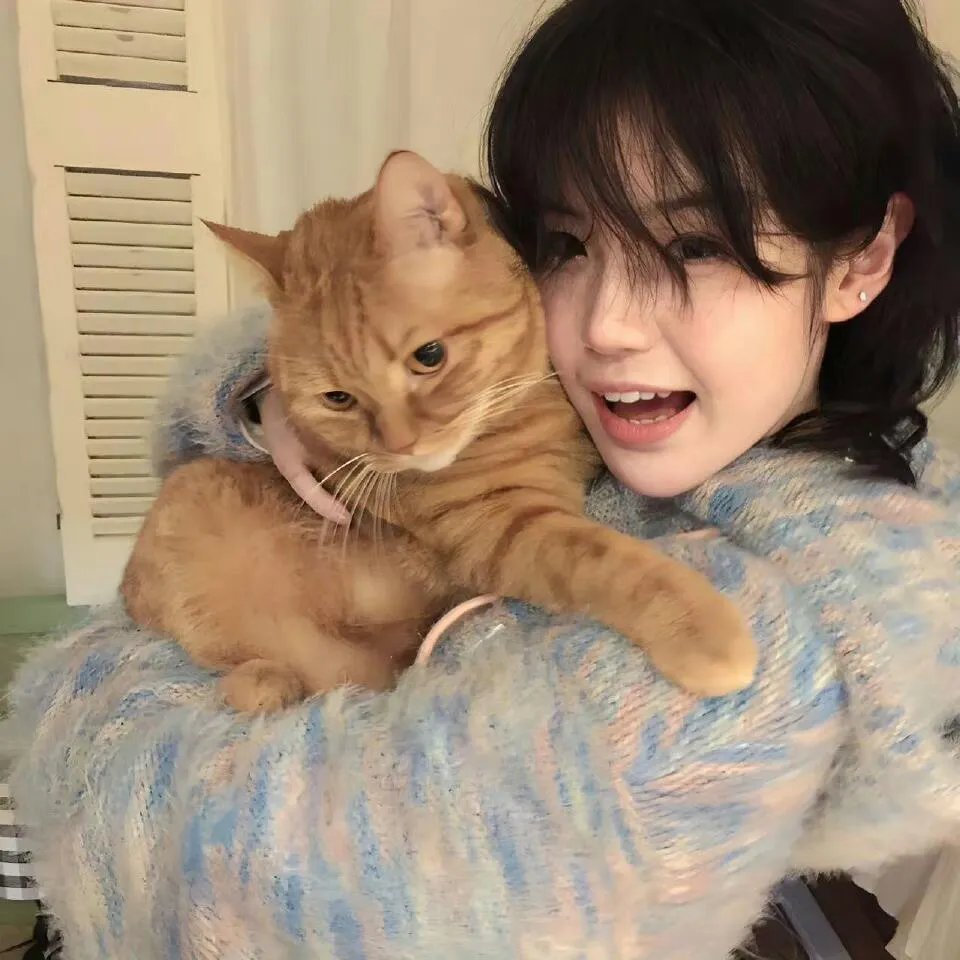 穿成炮灰女配，蔺总全家有救了